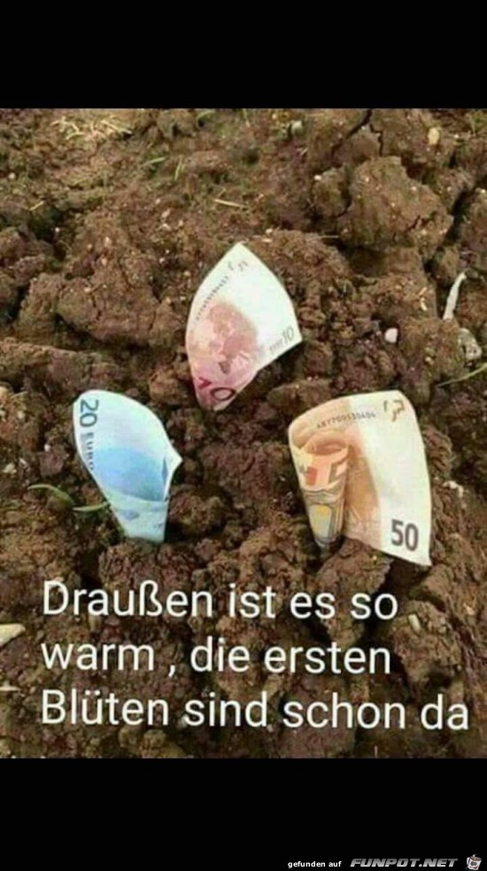 Frühling Frühling