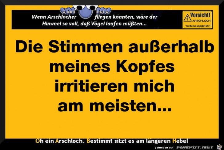 Die Stimmen Die Stimmen