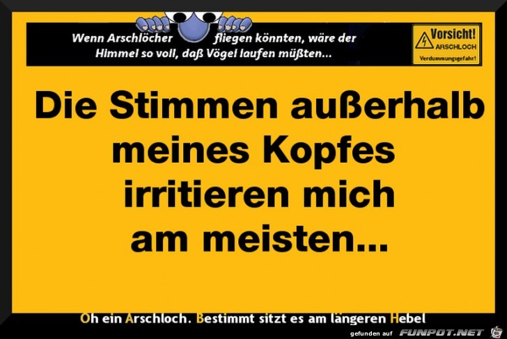 Die Stimmen