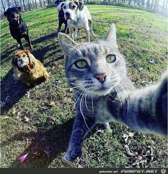 Super Selfie