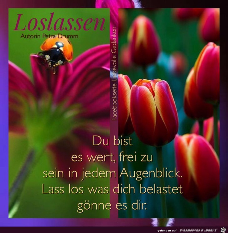 Loslassen