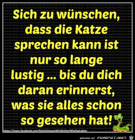 Wuenschen dass die Katze sprechen kann Wuenschen dass die Katze sprechen kann
