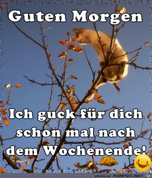 Guck fuer dich schon mal Guck fuer dich schon mal