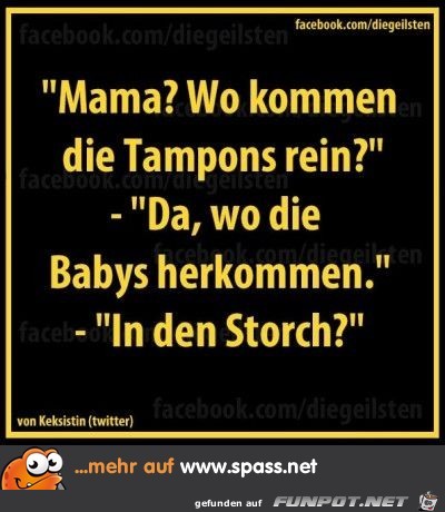 storch.......