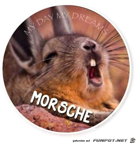 Guten Morgen Guten Morgen
