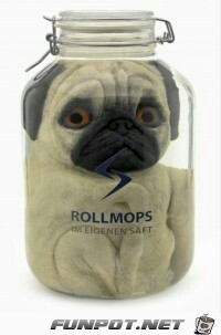 Rollmops Rollmops