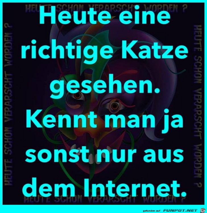 Katze gesehen Katze gesehen