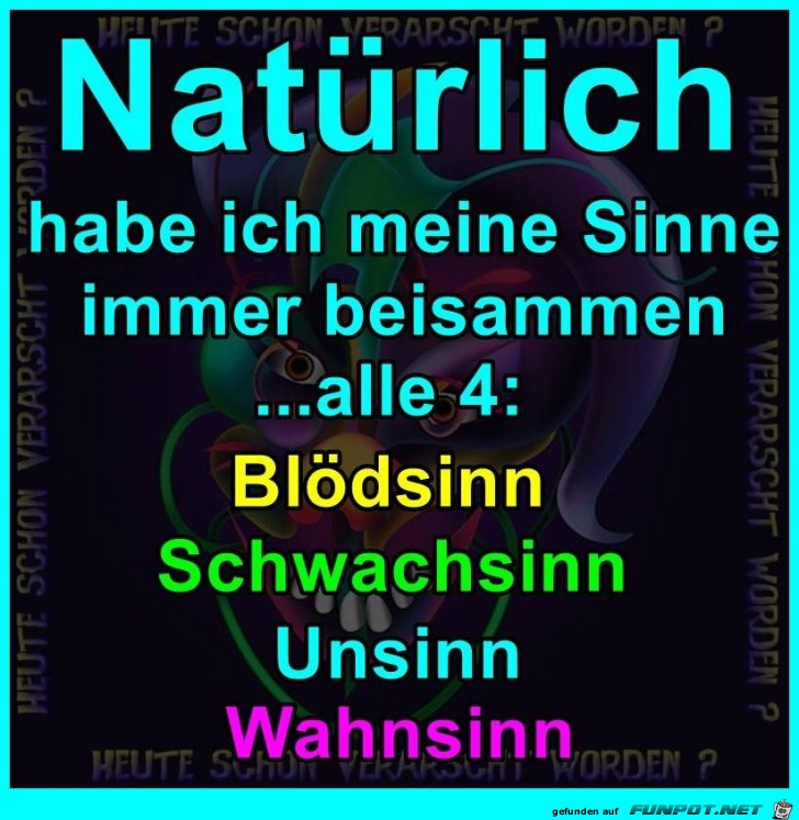 Vier Sinne Vier Sinne