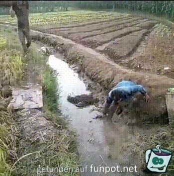 Volltreffer Volltreffer