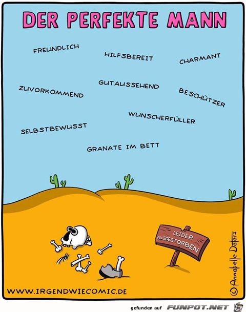Perfekter Mann Perfekter Mann