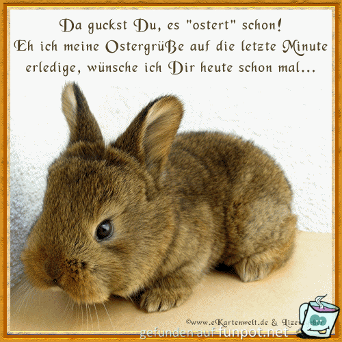 glueckwunschhase glueckwunschhase