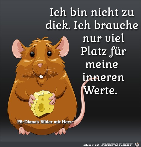 Bin nicht dick Bin nicht dick