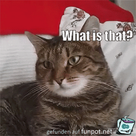 Was zur Hölle ist das Was zur Hölle ist das