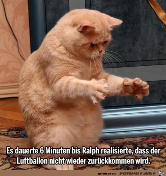 So herrlich diese Katze