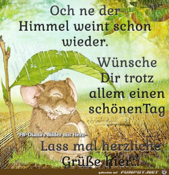 Der Himmel weint schon wieder Der Himmel weint schon wieder