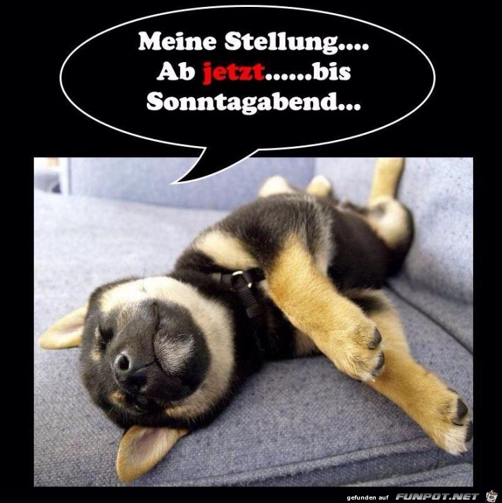 Meine Wochenend-Position Meine Wochenend-Position