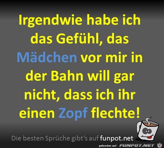 Zopf flechten Zopf flechten