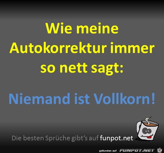 Autokorrektur Autokorrektur