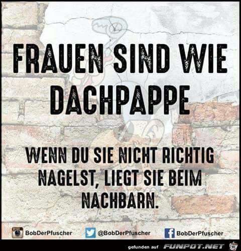 Frauen sind wie Dachpappe