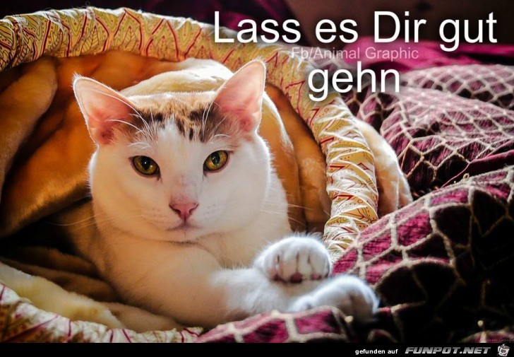 Lass es dir gut gehen Lass es dir gut gehen
