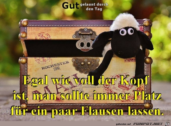 Egal wie voll der Kopf ist Egal wie voll der Kopf ist