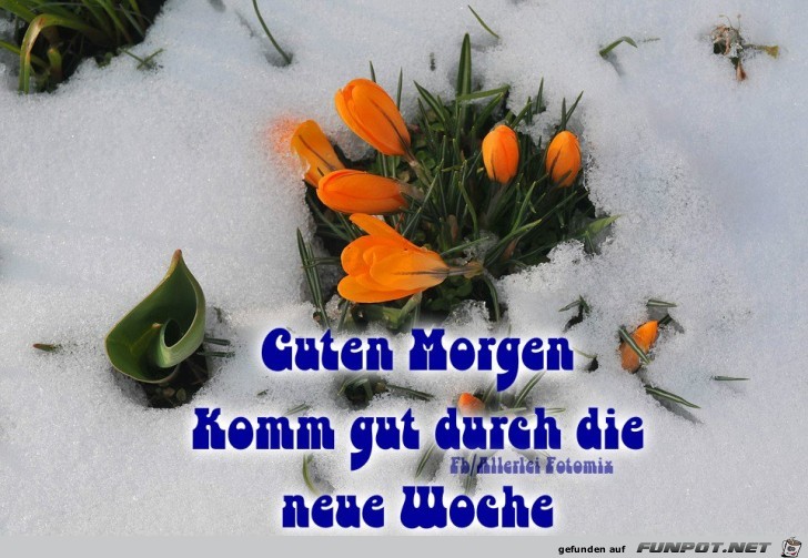 Guten Morgen---