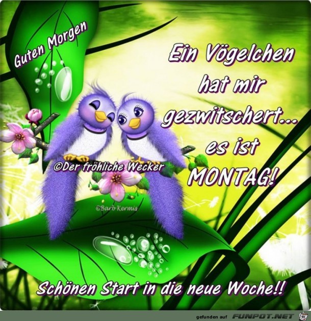 Ein Voeglein Ein Voeglein