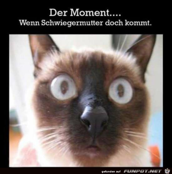 der Moment......