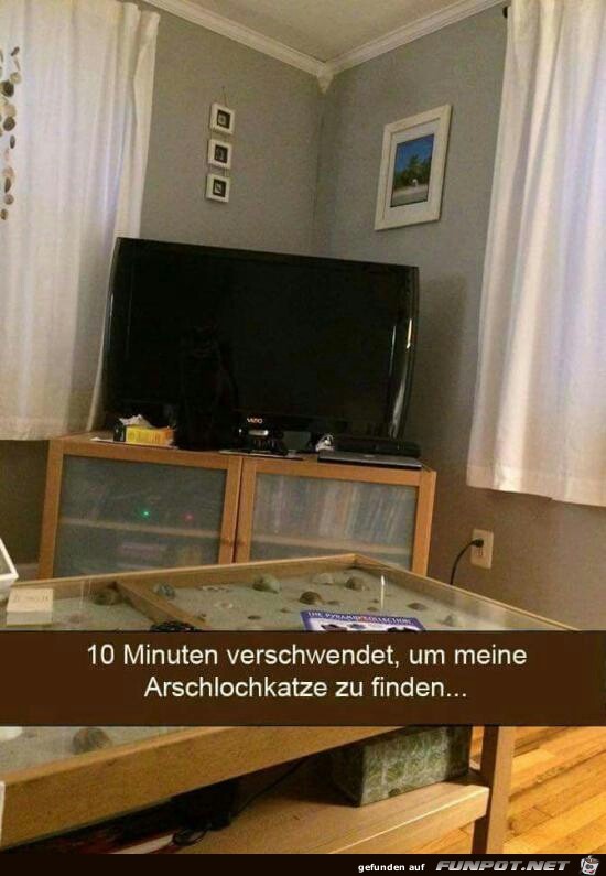 Wo ist die Katze ? Wo ist die Katze ?