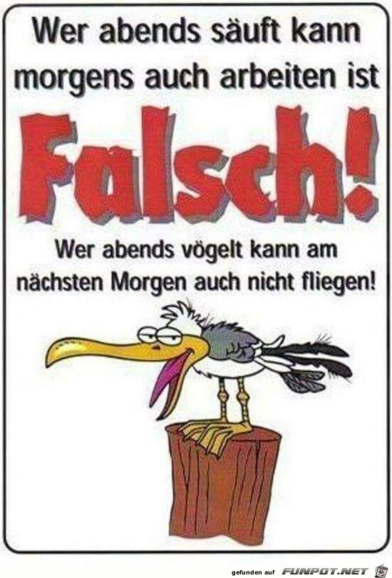 FALSCH !!!