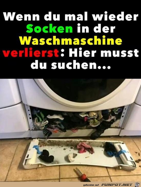 Da haben sie sich versteckt