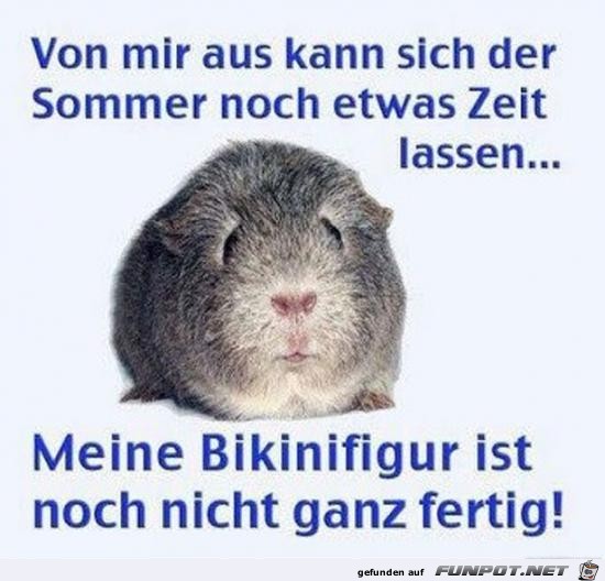 Sommer noch Zeit lassen...... Sommer noch Zeit lassen......
