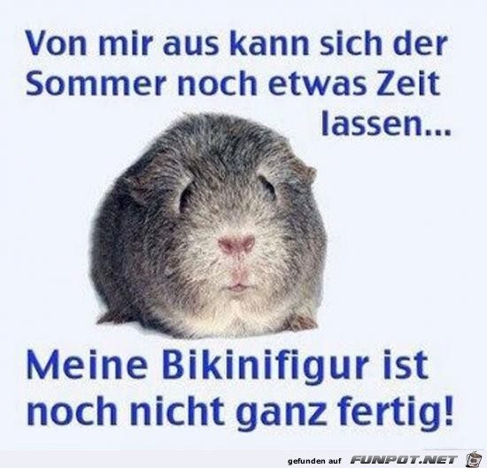 Sommer noch Zeit lassen......