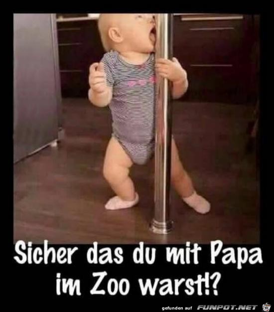 Sicher das du mit Papa im Zoo warst??......
