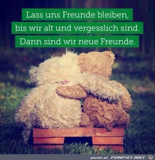 Freunde Freunde