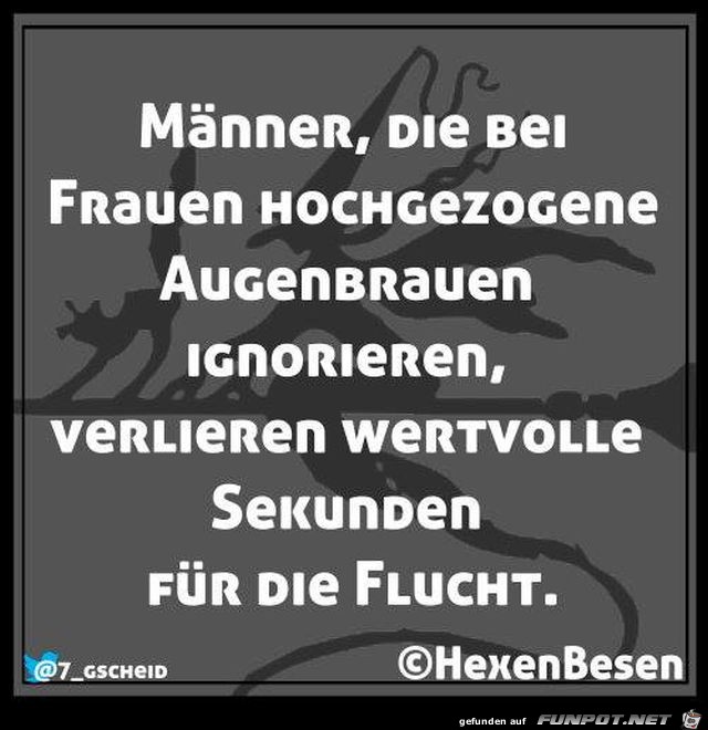 Hochgezogene Augenbraunen Hochgezogene Augenbraunen