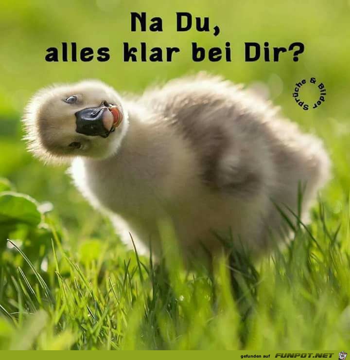 Alles klar Alles klar