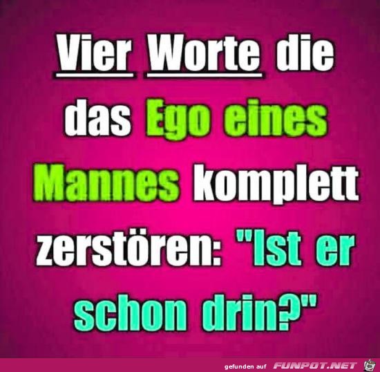 Ego-Zerstörer Ego-Zerstörer
