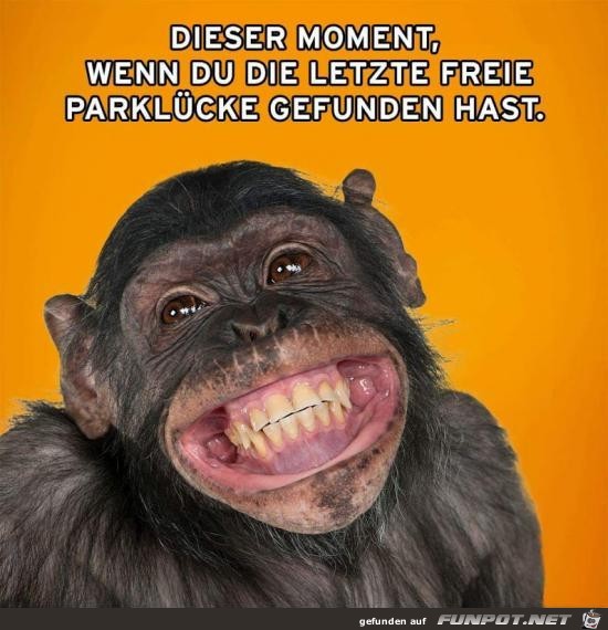 Die letzte freie Parklcke