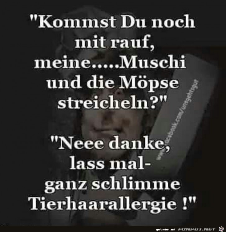 Kommst Du noch mit... Kommst Du noch mit...