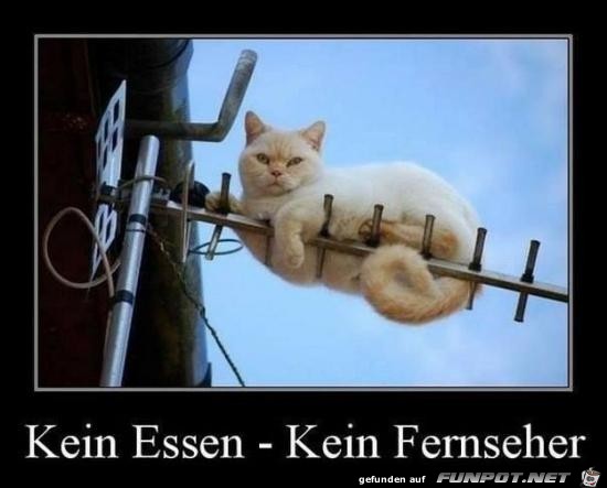 kein Essen- kein Fernseher.....