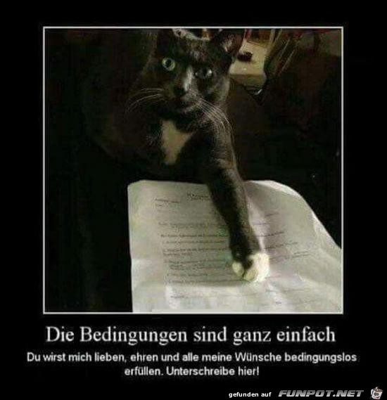 hier unterschreib....... hier unterschreib.......