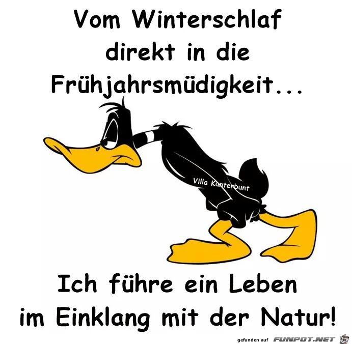 Im Einklang mit der Natur