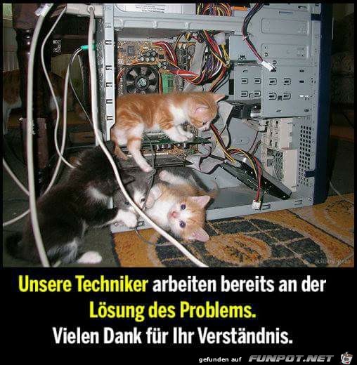 Unsere Techniker