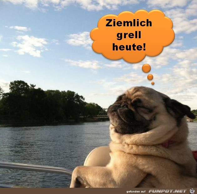 Ziemlich grell Ziemlich grell