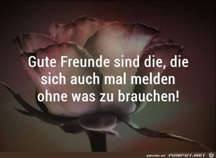 Gute Freunde