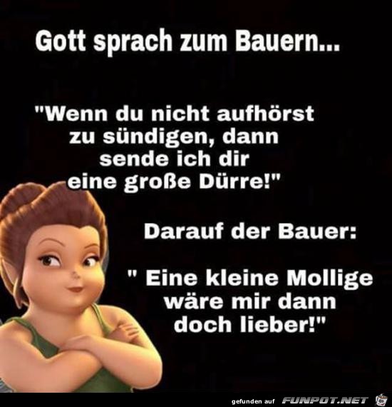 Gott sprach zum Bauern......