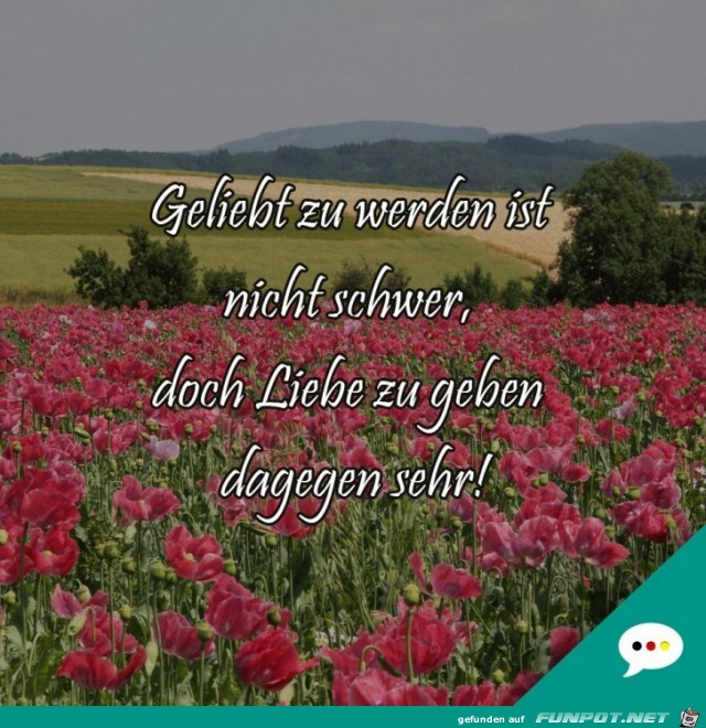 Geliebt zu werden ist nicht schwer...... Geliebt zu werden ist nicht schwer......