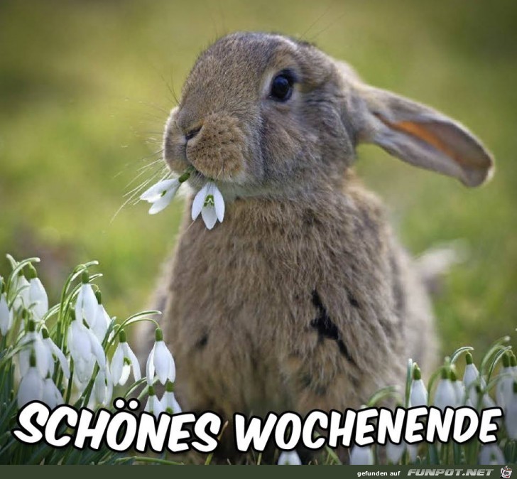 Wochenende