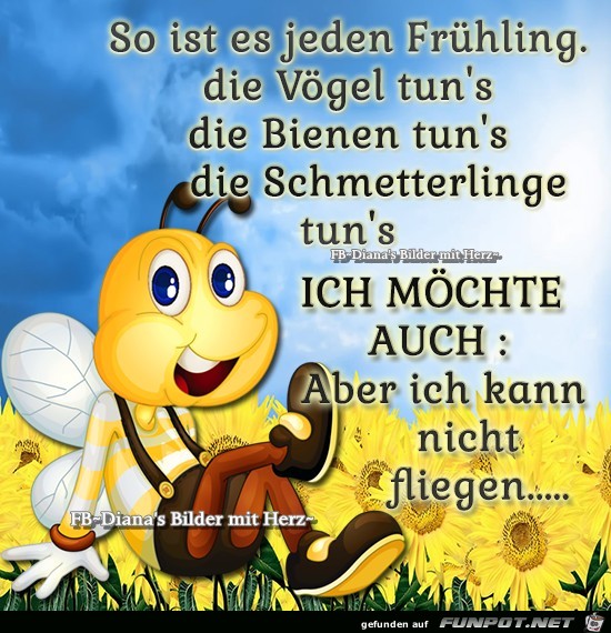 So ist es Fruehling So ist es Fruehling